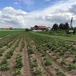 Kobylnica Nad Wisla * Kobylnica (Masovia)