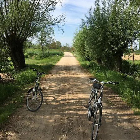 アパート Kobylnica Nad Wisla Kobylnica (Masovia)