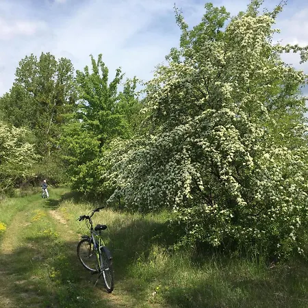Kobylnica Nad Wisla * Kobylnica (Masovia)