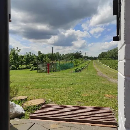 Kobylnica Nad Wisla Kobylnica (Masovia)