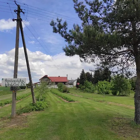 アパート Kobylnica Nad Wisla Kobylnica (Masovia)