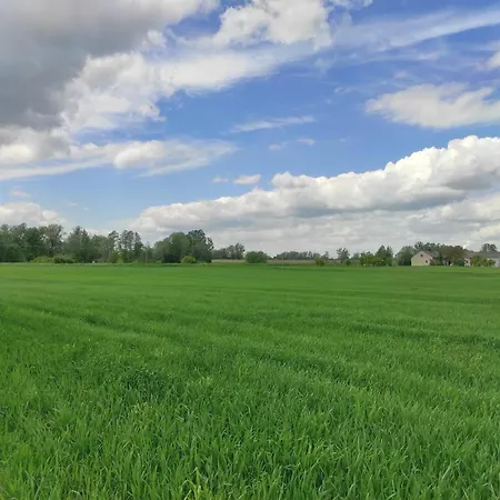 Kobylnica Nad Wisla 公寓 *