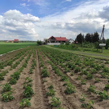 Kobylnica Nad Wisla * Kobylnica (Masovia)