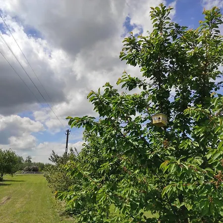 アパート Kobylnica Nad Wisla