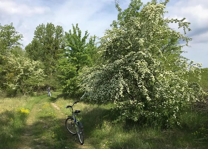 Kobylnica Nad Wisla * Kobylnica (Masovia)