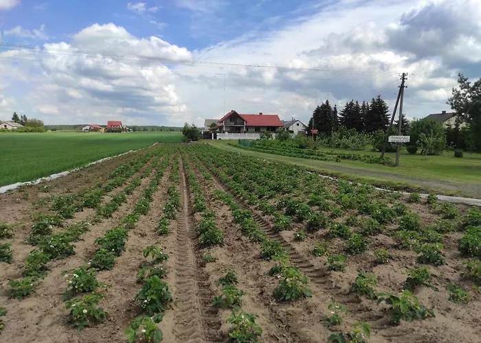 Kobylnica Nad Wisla * Kobylnica (Masovia)